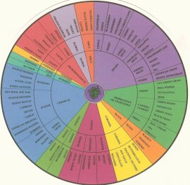 Wine Tasting Wheel